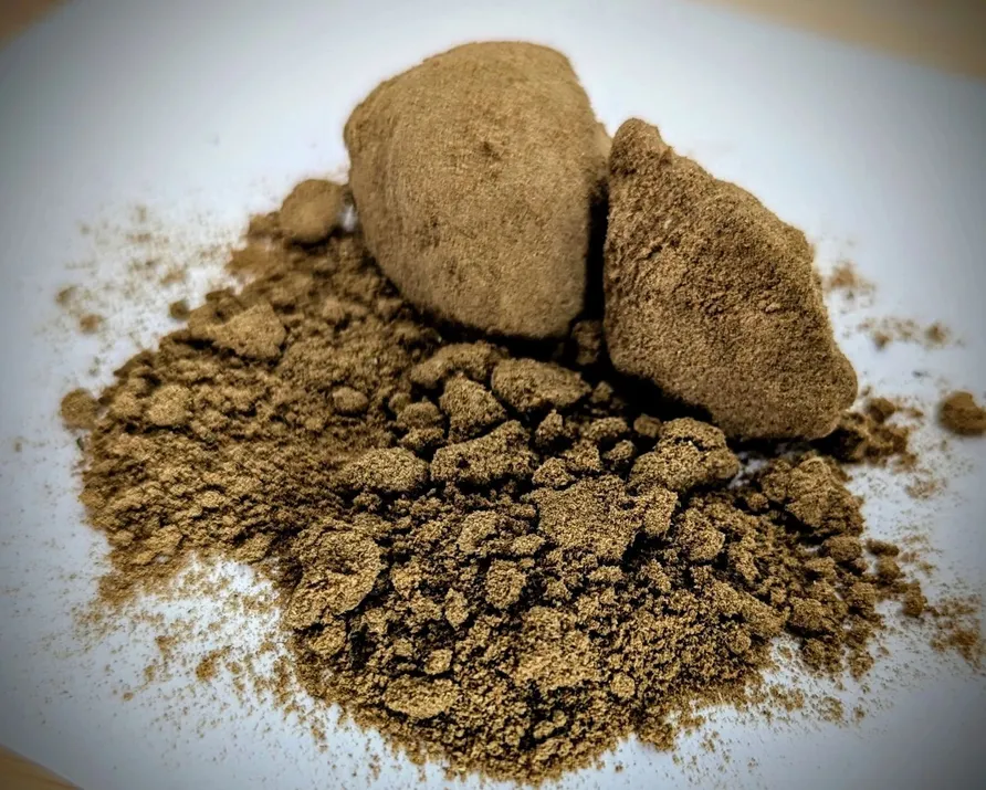 Sundog — Bio Hash, Divine Toke Detroit, photo 2